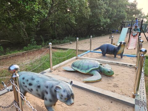 Kakinada, Andhra Pradesh India - Dec 02 2024: Coringa Wildlife Sanctuary and estuary situated near Kakinada in Andhra Pradesh, India. It is the second largest stretch of mangrove forests in India.