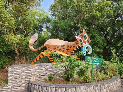 Kakinada, Andhra Pradesh India - Dec 02 2024: Coringa Wildlife Sanctuary and estuary situated near Kakinada in Andhra Pradesh, India. It is the second largest stretch of mangrove forests in India.