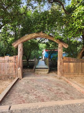 Kakinada, Andhra Pradesh India - Dec 02 2024: Coringa Wildlife Sanctuary and estuary situated near Kakinada in Andhra Pradesh, India. It is the second largest stretch of mangrove forests in India.