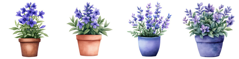 Naklejka premium Vibrant Lobelia Flowers in Ceramic Pots Watercolor