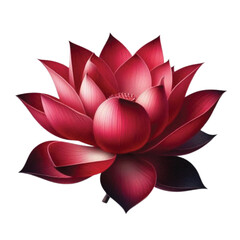 red lotus flower vector