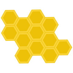 honeycomb with honey