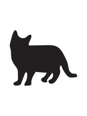  Cat Vectore  File Downloiad 