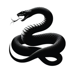 Obraz premium Silhouette Snake vector