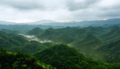 Lush Tropical Rainforests in Xishuangbanna

