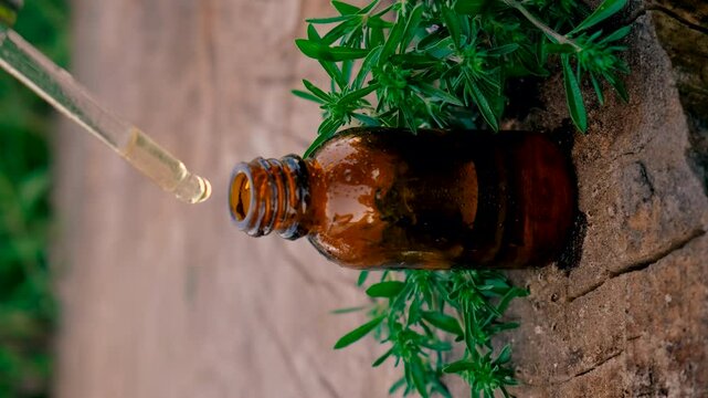 Thyme extract in a bottle. Selective focus.