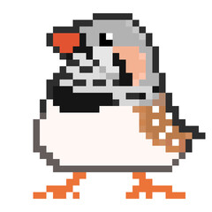 Fototapeta premium ドット絵, アニマルイラスト, キンカチョウのオス, ライトバック