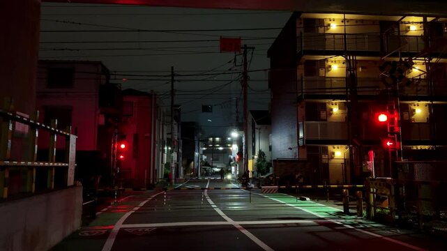 A green and pink train stops at a modern station with safety barriers in Tokyo Japan