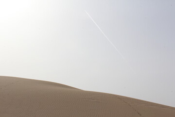 Gentle sand dunes stretching to the horizon under a pale sky, symbolizing tranquility and solitude.
