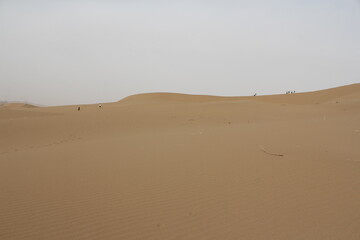 A serene view of sand dunes with soft curves under an expansive sky, highlighting the vastness of nature.