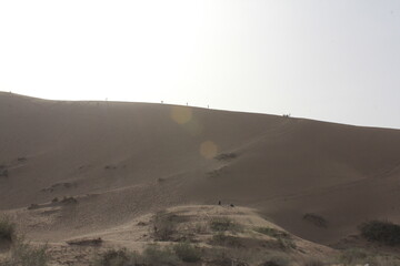 A solitary desert dune, shaped by the wind, standing alone under the clear, blue sky.