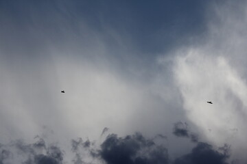 Cloudy sky with birds soaring high, conveying freedom and peace against a dark atmosphere.