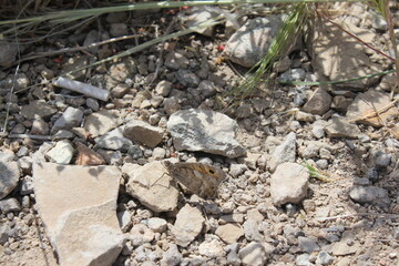 Rocky desert landscape with rugged stones, symbolizing the raw beauty of nature.