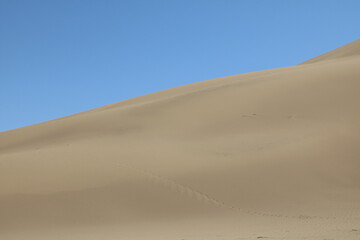 Desert landscape with gentle dunes and clear skies, capturing the beauty of nature.