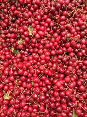 red cherries background