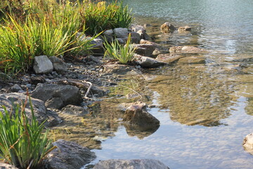 Stones in the river
