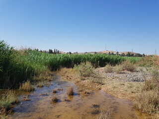 A cascading waterfall surrounded by rocks and green trees, creating a peaceful natural retreat perfect for hikers and nature lovers.