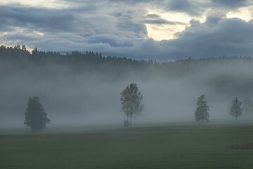 Fototapeta premium mist over the field