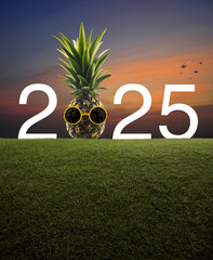 Pineapple with sunglasses and 2025 white text on green grass field over sunset sky with birds,...