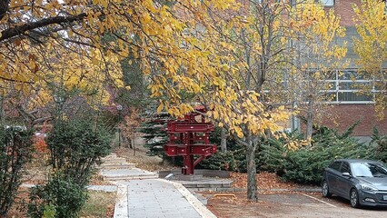 Middle East Technical University Campus in Autumn.