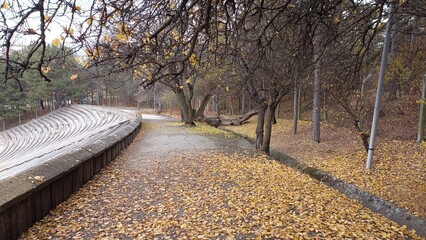 Middle East Technical University Campus in Autumn.