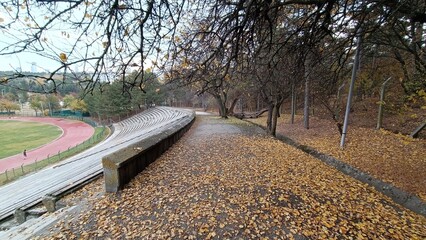 Middle East Technical University Campus in Autumn.