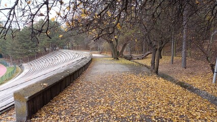 Middle East Technical University Campus in Autumn.