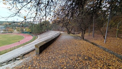 Middle East Technical University Campus in Autumn.