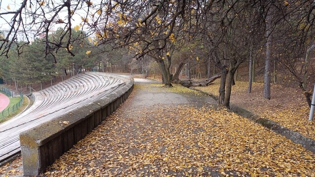 Middle East Technical University Campus in Autumn.
