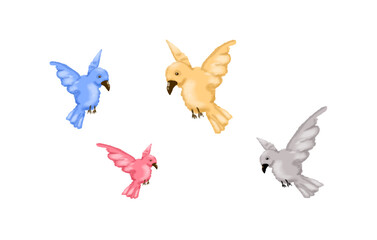 Four colorful birds flying with open wings: freedom and wildlife