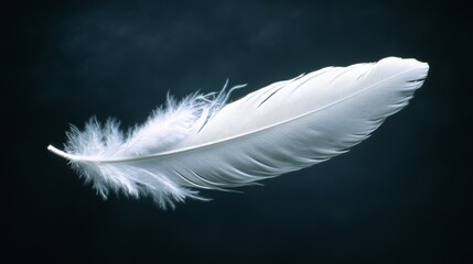 Obraz premium A Single White Feather against a Dark Background: A delicate white feather floats gracefully against a dark background, creating a sense of serenity and peace. 