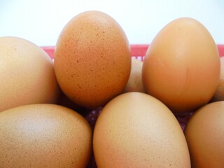 several eggs in a basket on a white background