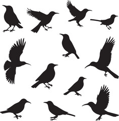Flying  bird Silhouette icon Vector Images 