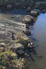 river rocks with water flowing over them