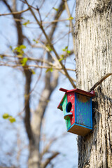 Colorful Birdhouse Hanging On A Tree Bark In A Sunny Spring Day Surrounded By Budding Leaves, Showcasing Nature And Home For Wildlife