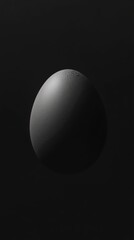 Solitary Egg: A grayscale study of a single egg against a stark black backdrop. Minimalist, moody, and evocative.