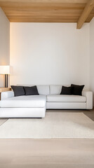 Modern white sofa with black cushions in minimalistic living room setting during the day