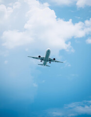 Obraz premium airplane in the sky