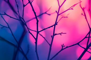 Mystical Branches Against a Vibrant Colorful Background