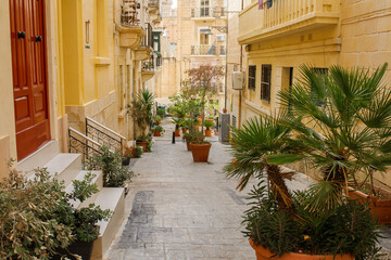Old street with many plant pots in Birgu old town, Malta