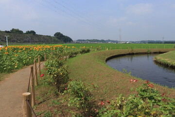 佐倉ふるさと広場