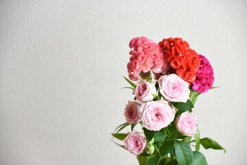 薔薇とケイトウ