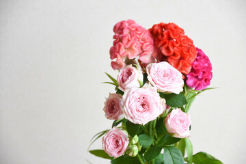 薔薇とケイトウ