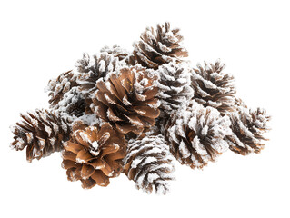 A cluster of snow-dusted pinecones arranged artistically. Isolated on transparent white background, png