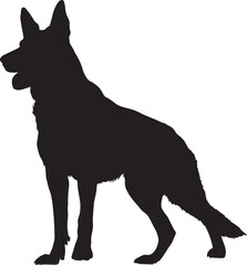 black dog isolated on white