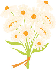 Handdrawn daisy flower illustration