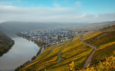 Fototapeta premium view of the Kroever vineyards in autumn season Germany Moselle River Valley