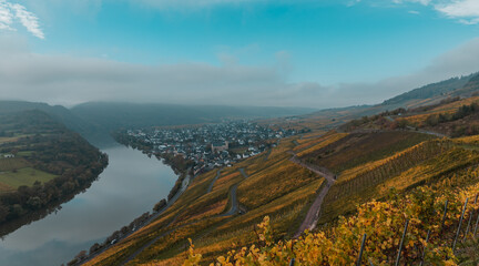 view of the Kroever vineyards in autumn season Germany Moselle River Valley