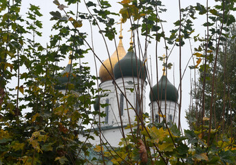 Autumn. The golden and green domes of the church are visible through the yellow-green leaves of the maples.