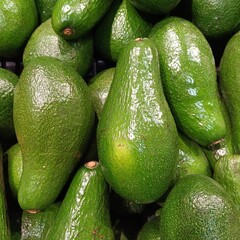green fresh avocado